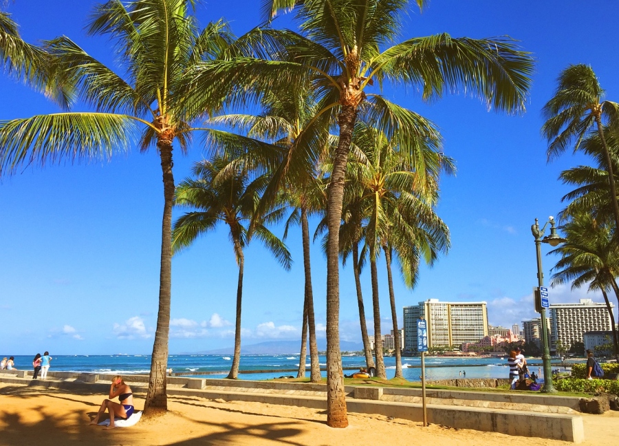 The Hawaiian Dream: 5 Family-Friendly Resorts to Travel by Car